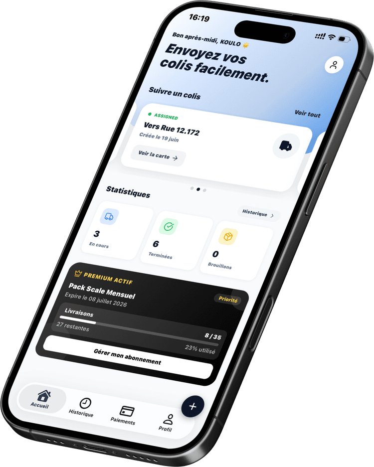 Application Mobile Interface